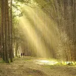 La Via delle Sorelle cresce: nel 2025 oltre 1.100 camminatori e mezzo milione di euro di guadagni derivanti