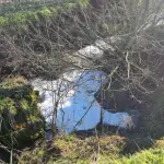 Roggia Colturana, i dati ARPA confermano un quadro ambientale critico