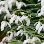 Come evitare sprechi d’acqua in giardino: metodi pratici ed efficaci