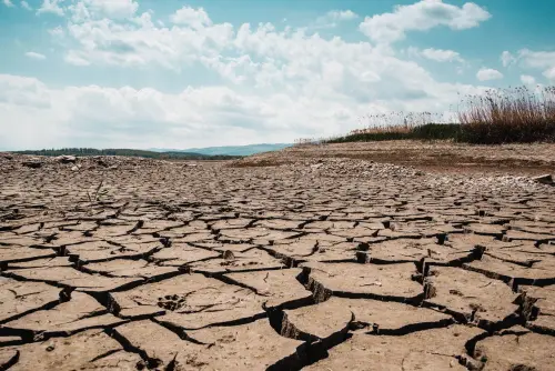 Lombardia ed Emilia-Romagna, 500mila euro contro la desertificazione
