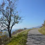 Province, Gandolfi (UPI): “Il voto sul Friuli-Venezia Giulia riapre il dossier nazionale dopo dieci anni di caos istituzionale”