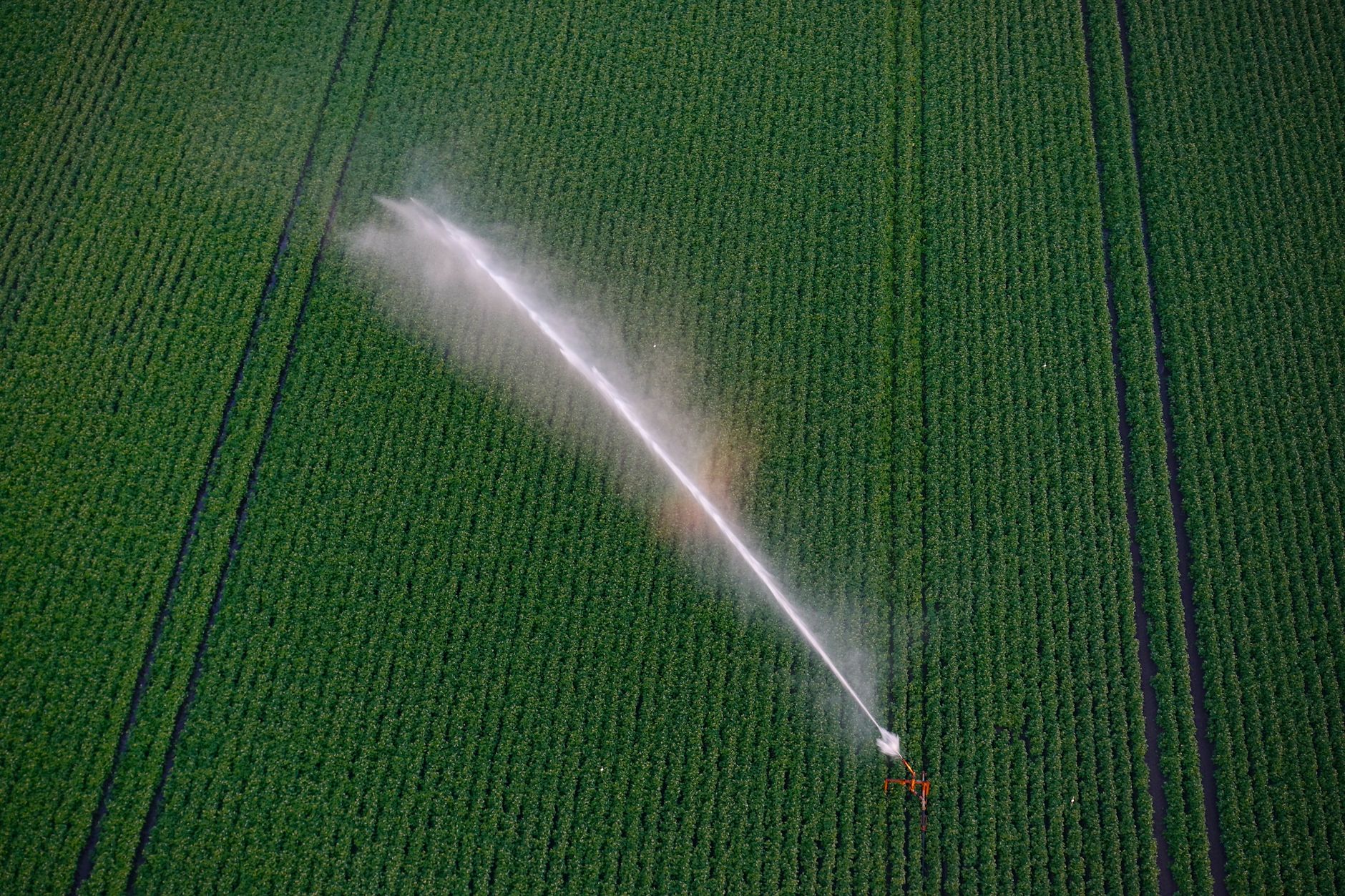 Lombardia, laghi quasi vuoti: irrigazione a rischio siccità