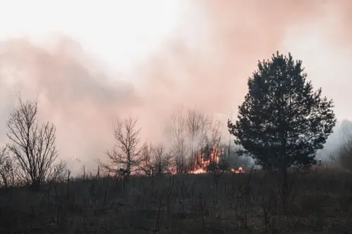 Lombardia, allerta arancione per incendi boschivi: scatta il monitoraggio