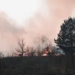 Lombardia, allerta arancione per incendi boschivi: scatta il monitoraggio