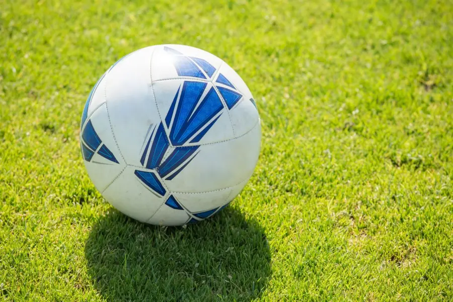 Atalanta Bergamo: storia e identità nerazzurra