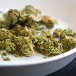 Maxi sequestro di hashish tra Bergamo e provincia: oltre 70 chili confiscati, due arresti