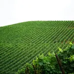 Olimpiadi 2026, Bormio accende i riflettori sulla Valtellina: agricoltura protagonista tra sport e identità del territorio